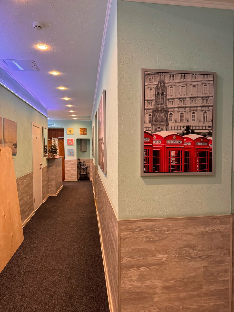 Гостиница Авангард Санкт-Петербург-223