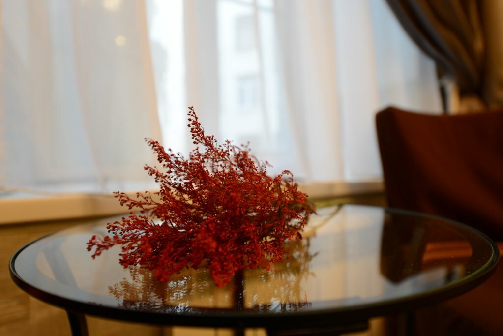 Гостиница Авангард Санкт-Петербург-74