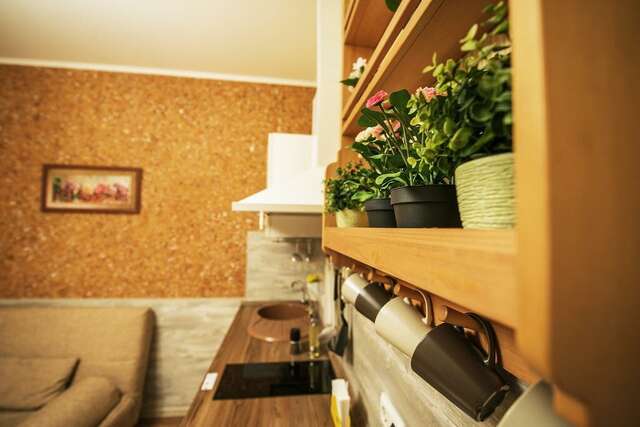 Гостиница Авангард Санкт-Петербург-63